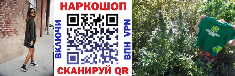 Цена Моздок Гашиш  Конопля  ГЕРОИН  МЕФ  Кокаин 