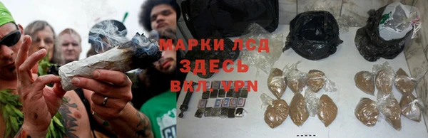 таблы Бородино