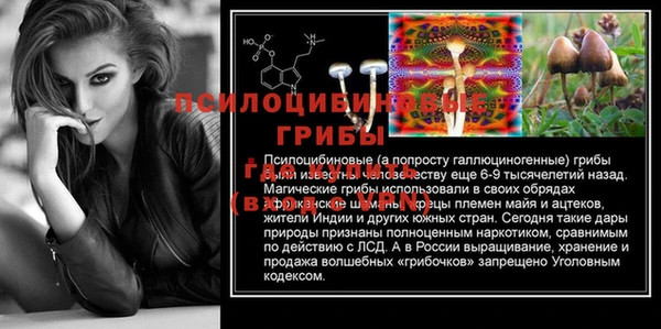 таблы Бородино