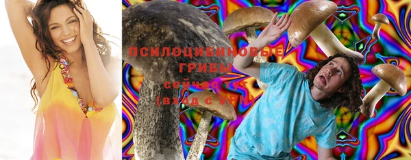 apvp Бронницы