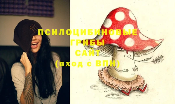 мяу мяу кристалл Богданович