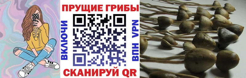 Галлюциногенные грибы мухоморы  Моздок 
