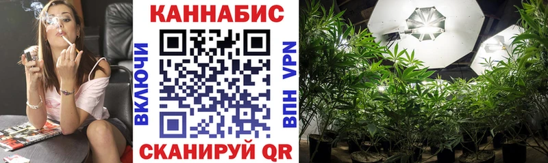 Бошки Шишки тримм  Моздок 